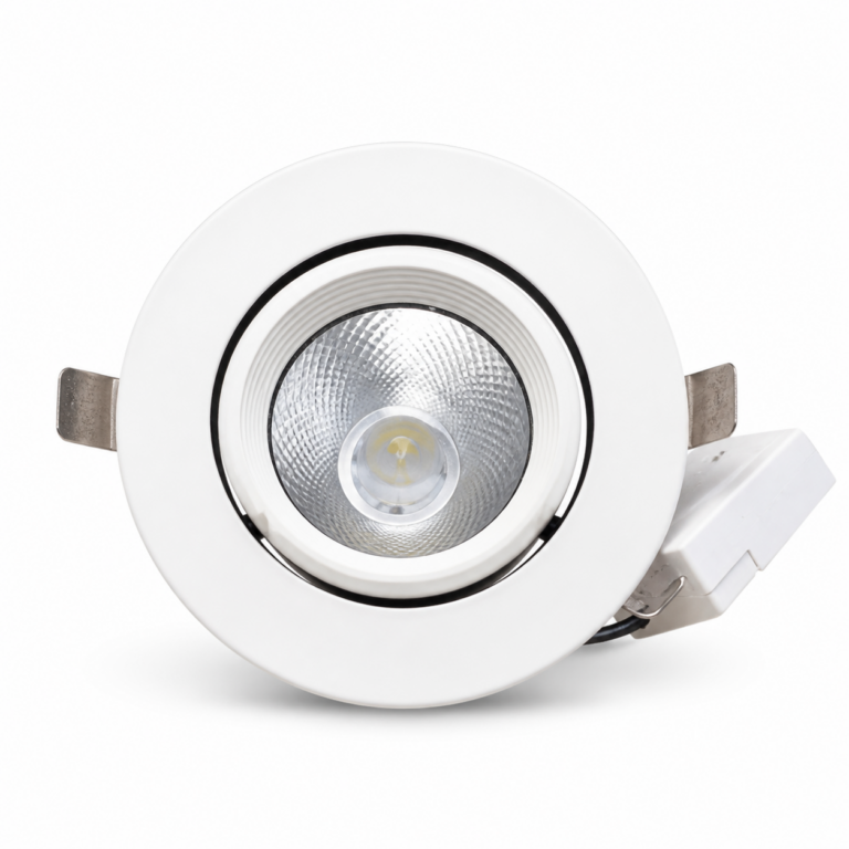 30W Adjustable Recess Round COB LED Downlight front-facing studio product photo on white background