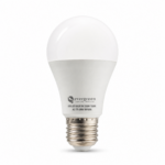 Evergreen A50 5W LED Bulb front-facing studio product photo on white background