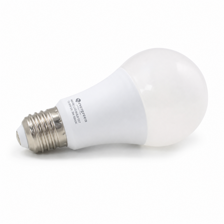 Evergreen A60 DC LED Bulb E27 three-quarter side studio product photo on white background